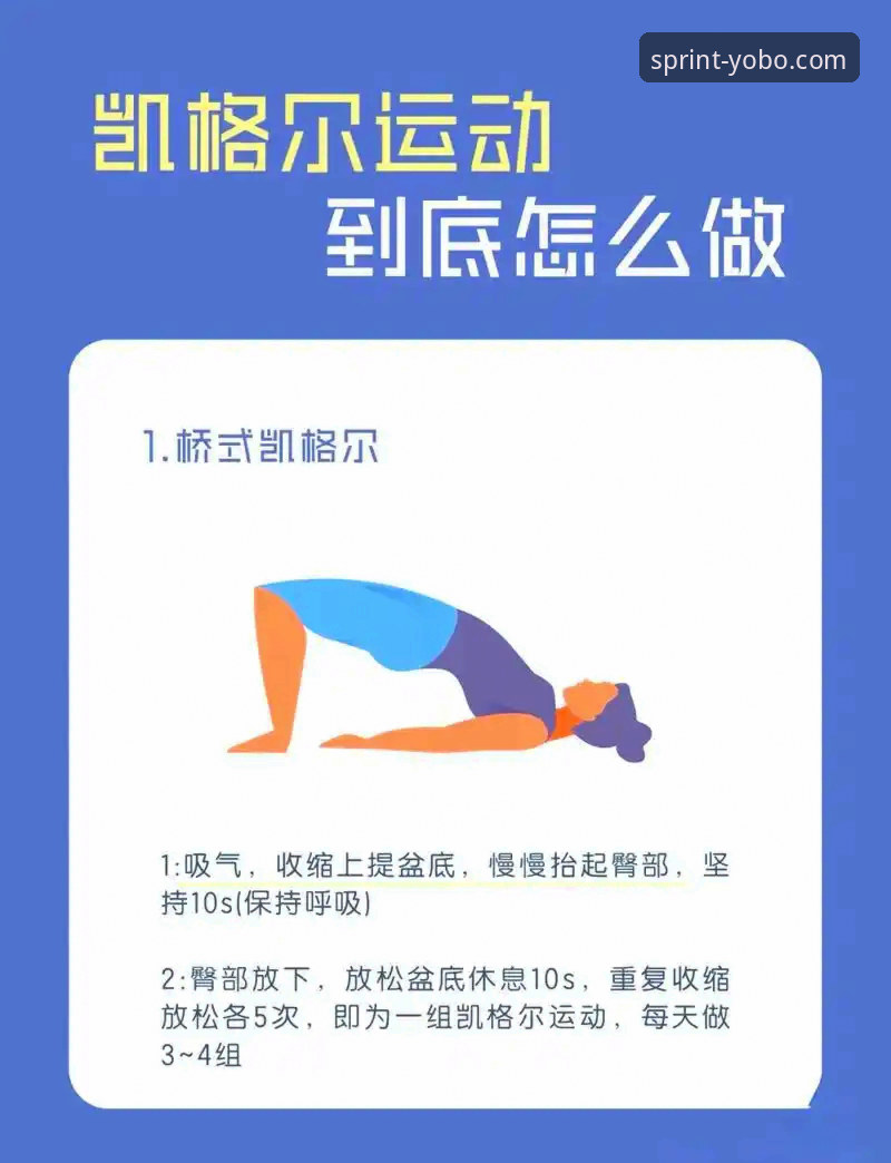 yobo体育最新版本 yobo体育最新版本使用教程:新手也能快速上手的操作指南