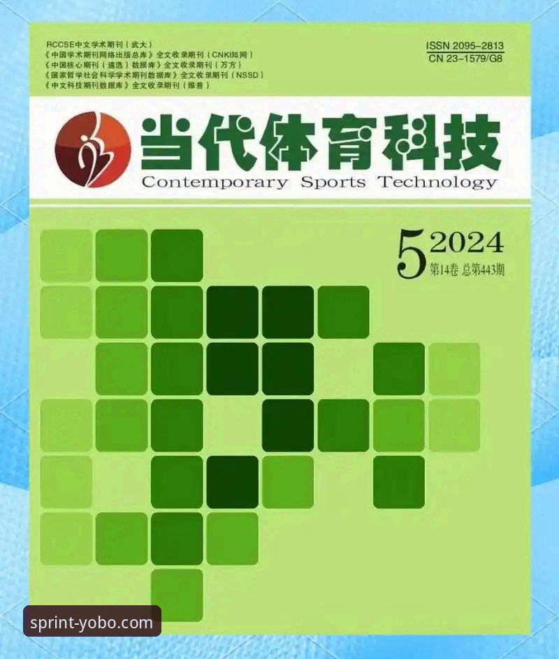 正版体育平台入口手机版 正版体育平台入口手机版全面解析:从下载到实战的完整路径